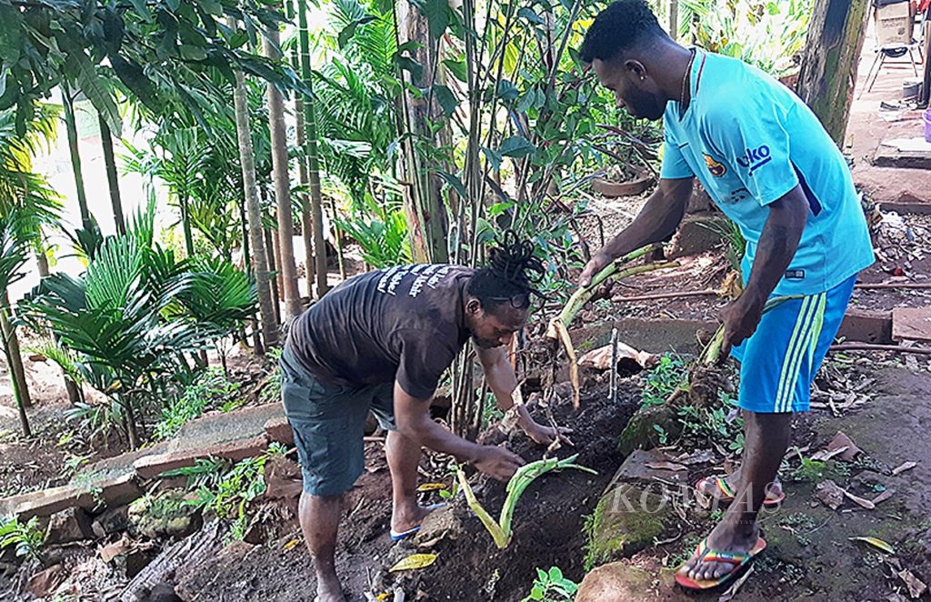 Komunitas Papua Jungle Chef menanam bibit salah satu komoditas pangan lokal Papua, yakni pisang, di pekarangan rumah warga di Kelurahan Imbi, Kota Jayapura, Papua, Jumat (1/5/2020).
