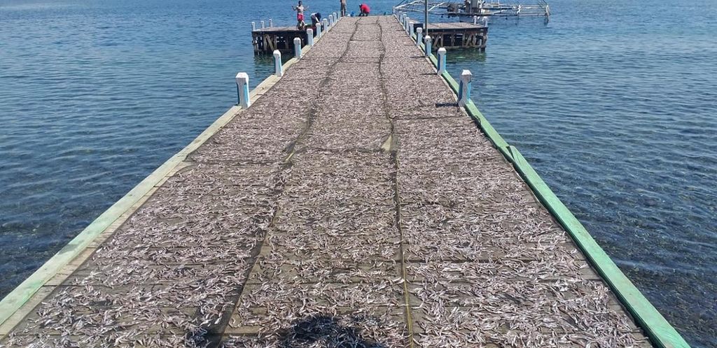 Penjemuran ikan teri di Desa Hadakewa, Kabupaten Lembata, Nusa Tenggara Timur, pada tahun 2020.
