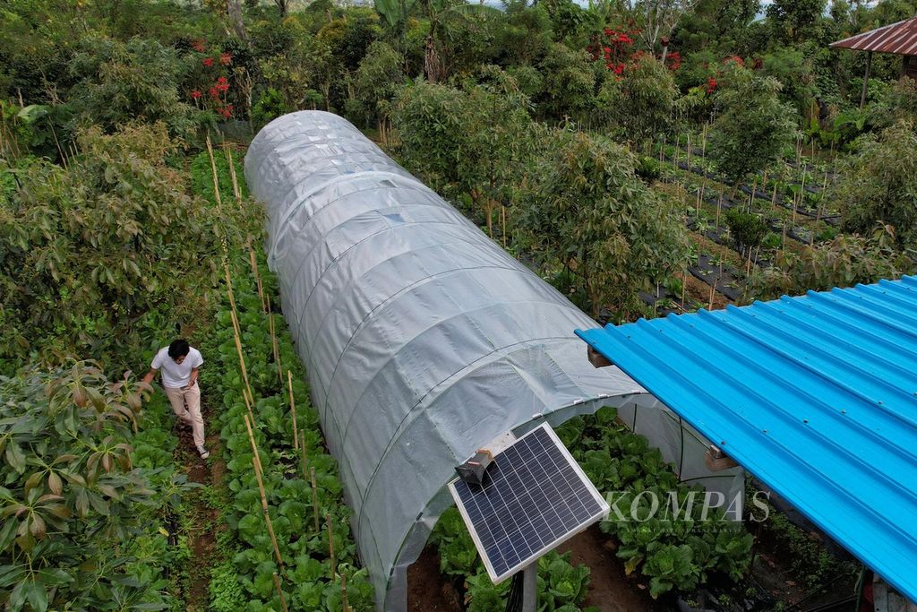 Lanskap perkebunan hortikultura milik petani yang tergabung dalam kelompok Petani Muda Keren Gobleg di Desa Gobleg, Kecamatan Banjar, Kabupaten Buleleng, Bali, Sabtu (10/6/2023).