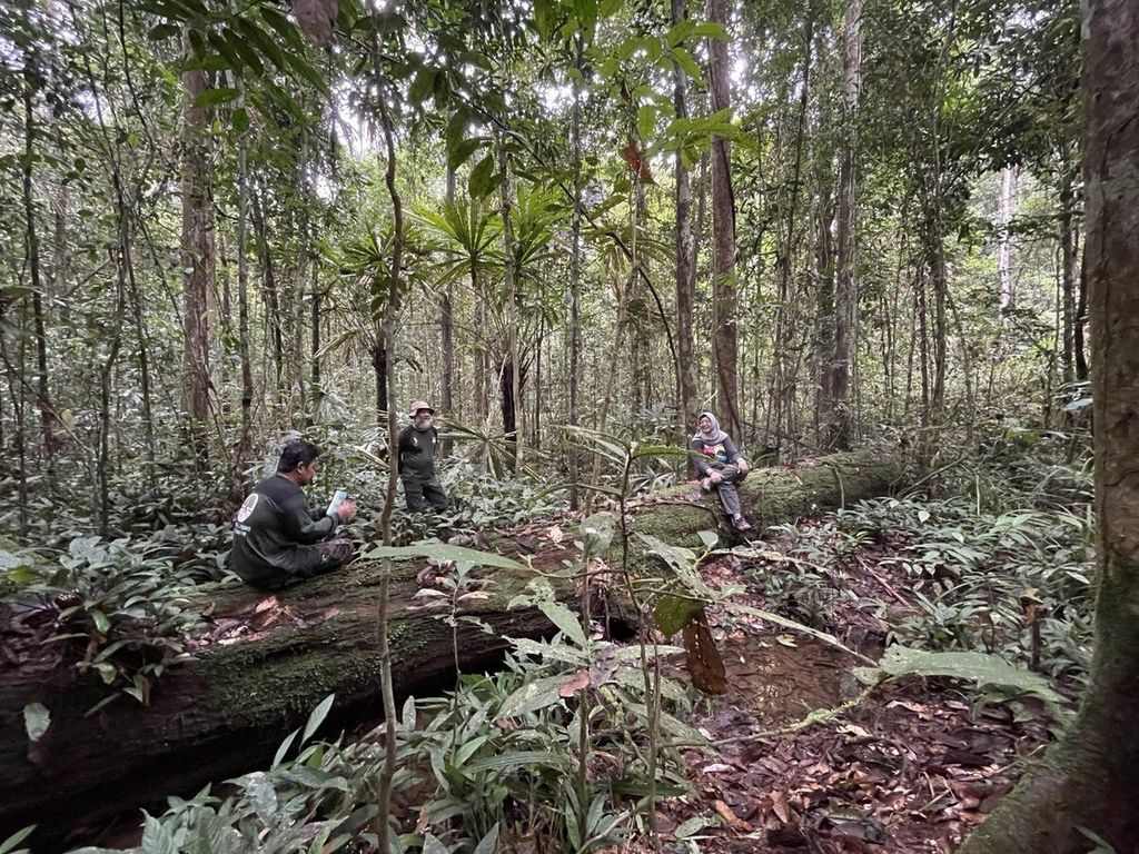 Suasana salah satu sudut Hutan Lindung Sungai Wain, Kota Balikpapan, Kalimantan Timur, Minggu (5/2/2023).