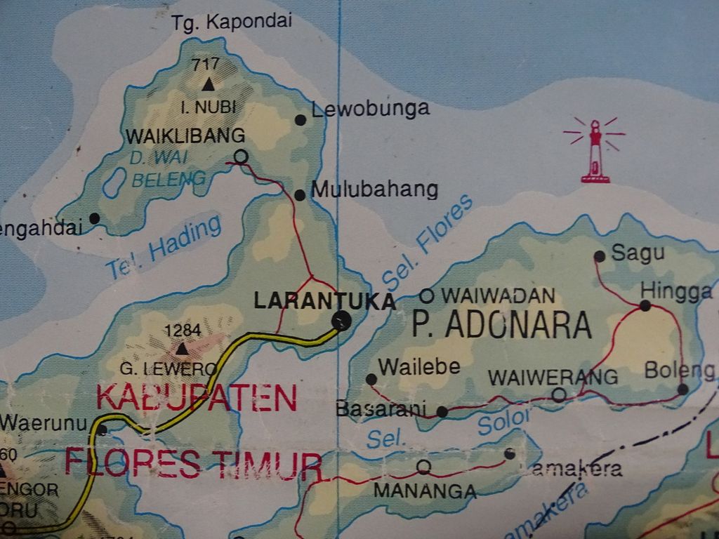Kabupaten Flores Timur sebagai kabupaten yang meliputi tiga pulau, yakni Flores bagian timur, Adonara, dan Pulau Solor. Kabupaten ini termasuk salah satu kabupaten termiskin di NTT, terbukti dengan banyaknya para pencari kerja dari kabupaten ini ke luar negeri atau provinsi lain.  
