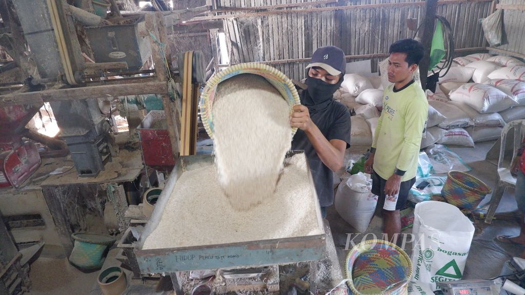 Pekerja menuang beras saat proses penggilingan di salah satu tempat penggilingan padi di Desa Belanti Siam, Kecamatan Pandih Batu, Kabupaten Pulang Pisau, Kalimantan Tengah, Senin (15/5/2023). Kapasitas produksi di tempat penggilingan tersebut mencapai 4 ton per hari. 