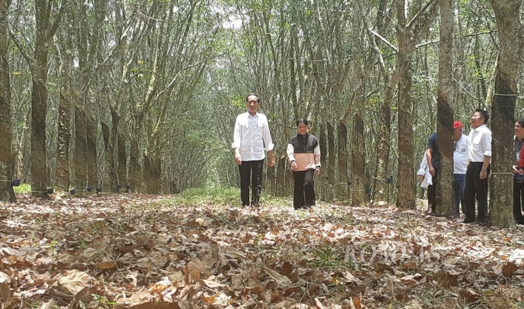 Presiden Joko Widodo bersama Nyonya Iriana meninjau perkebunan karet seusai bertemu para petani karet di Desa Lalang Sembawa, Kecamatan Sembawa, Kabupaten Banyuasin, Sumatera Selatan, Sabtu (9/3/2019).