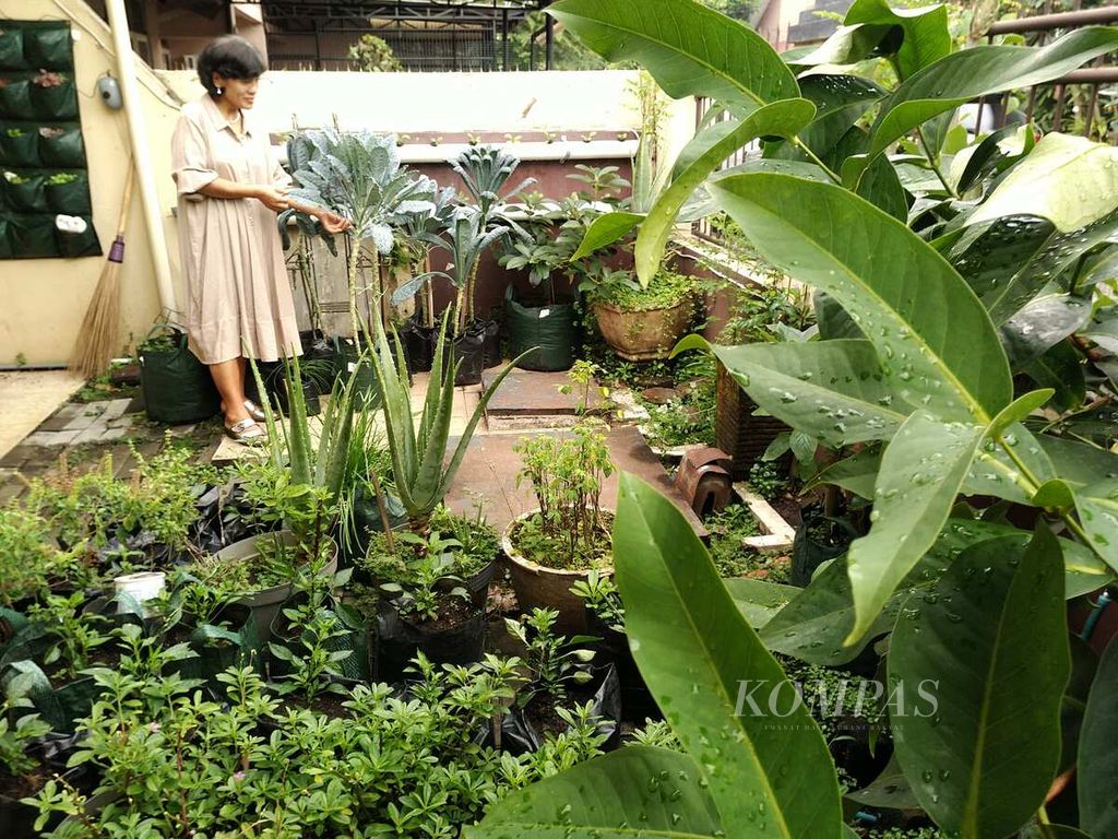 Warga RW 014, Sukamiskin, Kecamatan Arcamanik, Kota Bandung, mengelola tanaman di halaman rumahnya, Kamis (8/9/2022). Hal itu menjadi bagian ketahanan pangan warga dalam menghadapi hal tidak terduga.