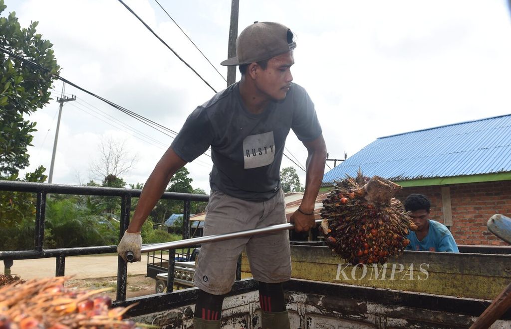 Pekerja memindahkan sawit kiriman petani ke atas truk untuk dikirim ke pabrik di Desa Bukit Raya, Kecamatan Sepaku, Kabupaten Penajam Paser Utara, Kalimantan Timur, Rabu (27/7/2022). 