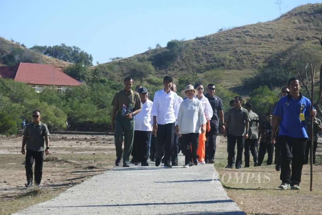 President Joko Widodo walks along the pedestrian path on Rinca Island, one of the islands included in the Komodo National Park area in West Manggarai Regency, East Nusa Tenggara, Thursday (11/7/2019). Rinca Island is one of Komodo's habitats which is usually visited by tourists.