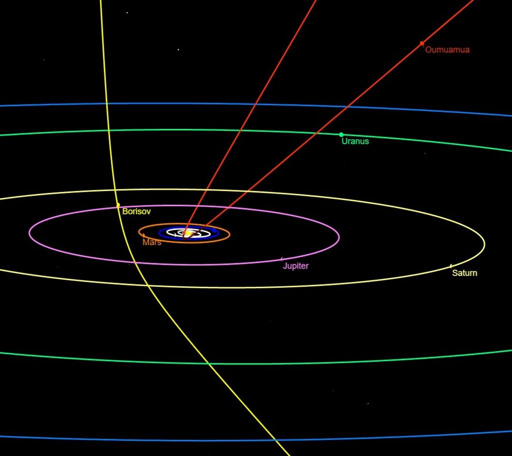 The paths of two interstellar objects recorded to have visited the Solar System, namely the asteroid 'Oumuamua (red) and comet Borisov (yellow).