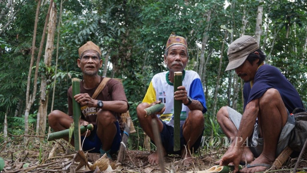 Masyarakat adat Dayak Tomun bermusik dan bergoyang di hutan menggunakan alat musik tradisional dari bambu. Bagi mereka, hutan adalah ibu mereka.