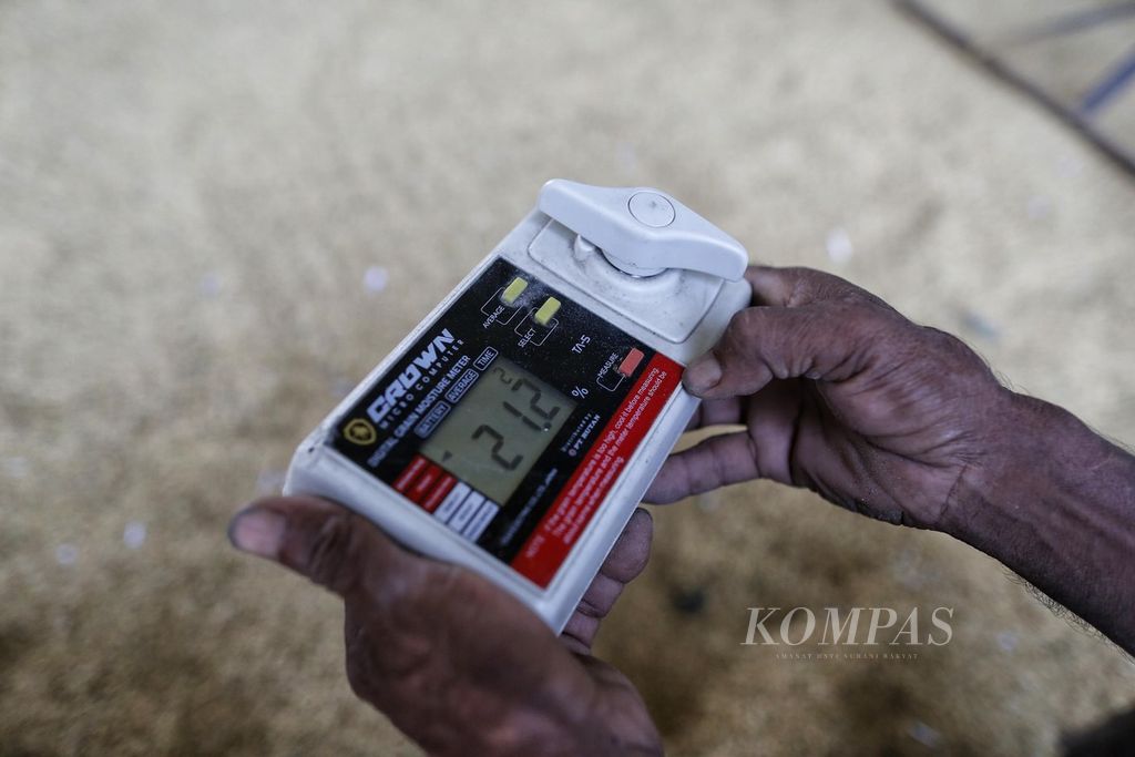 Seorang pekerja mengecek kadar air gabah yang sedang dikeringkan dengan mesin pengering milik Koperasi Serba Usaha Citra Kinaraya di Mlatiharjo, Gajah, Demak, Jawa Tengah, Jumat (3/3/2023).