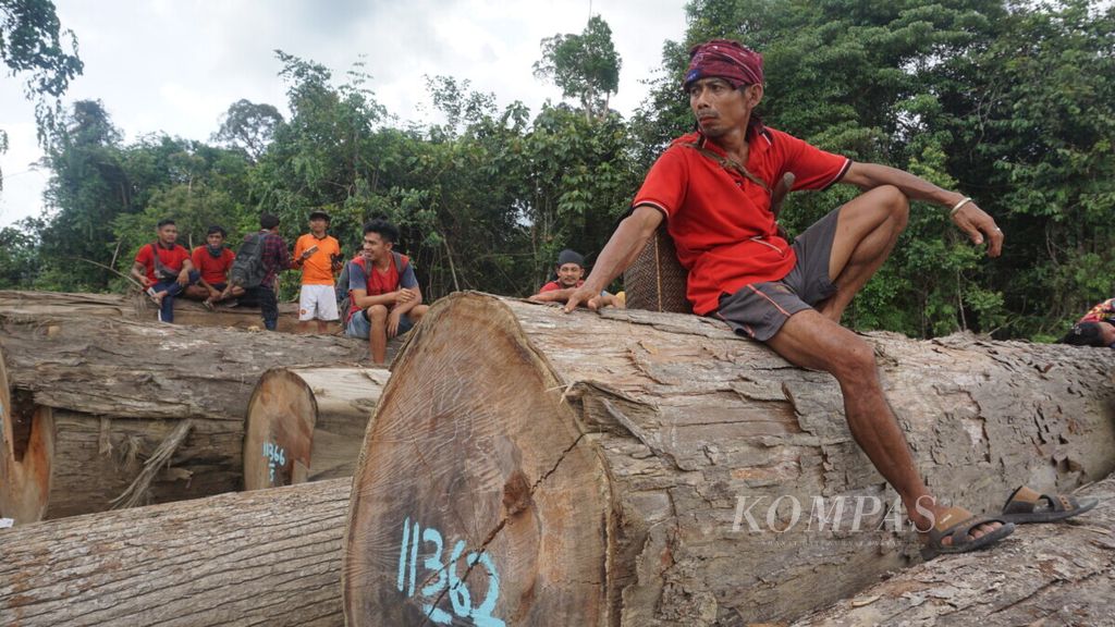 Hardias Sway (50), warga Desa Kinipan, duduk di atas kayu yang sudah ditebang oleh perusahaan perkebunan sawit di lokasi yang mereka klaim sebagai wilayah kelola adat mereka di Desa Kinipan, Kecamatan Batang Kawa, Kabupaten Lamandau, Kalimantan Tengah, Minggu (20/1/2019). 