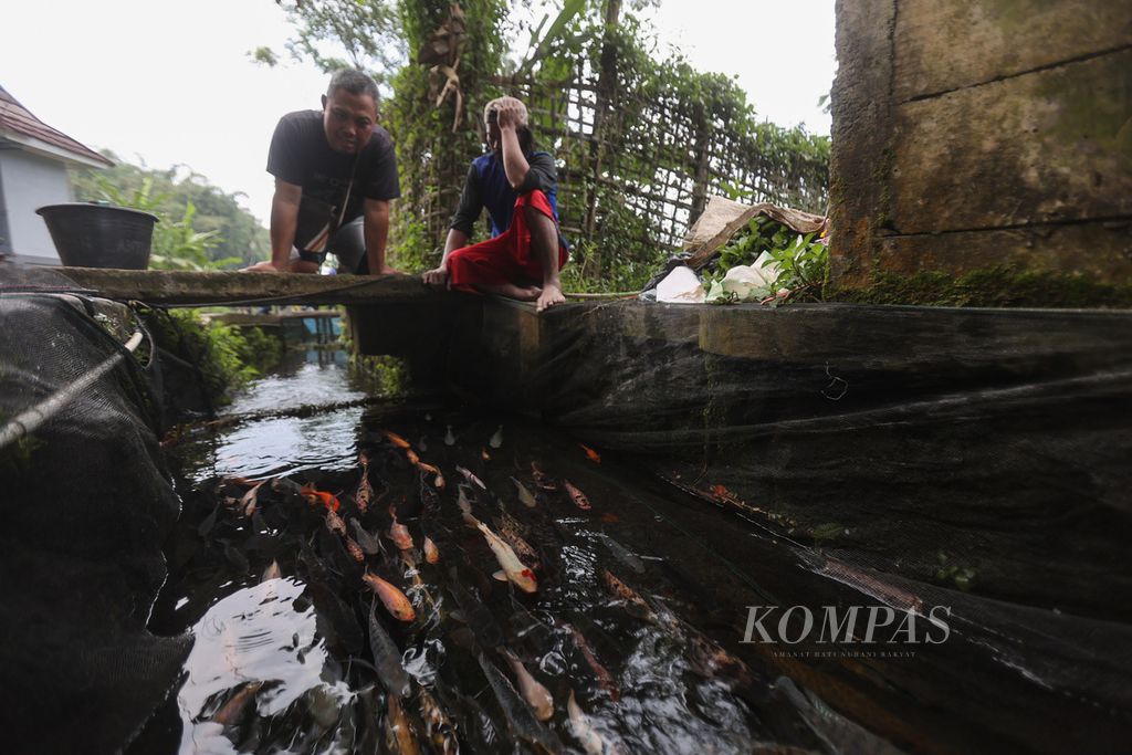Warga menggunakan selokan yang terhubung dengan mata air Tloyo untuk tempat budidaya ikan air tawar di Desa Karanggedong, Ngadirejo. Temanggung, Jawa Tengah, Rabu (19/4/2023). 