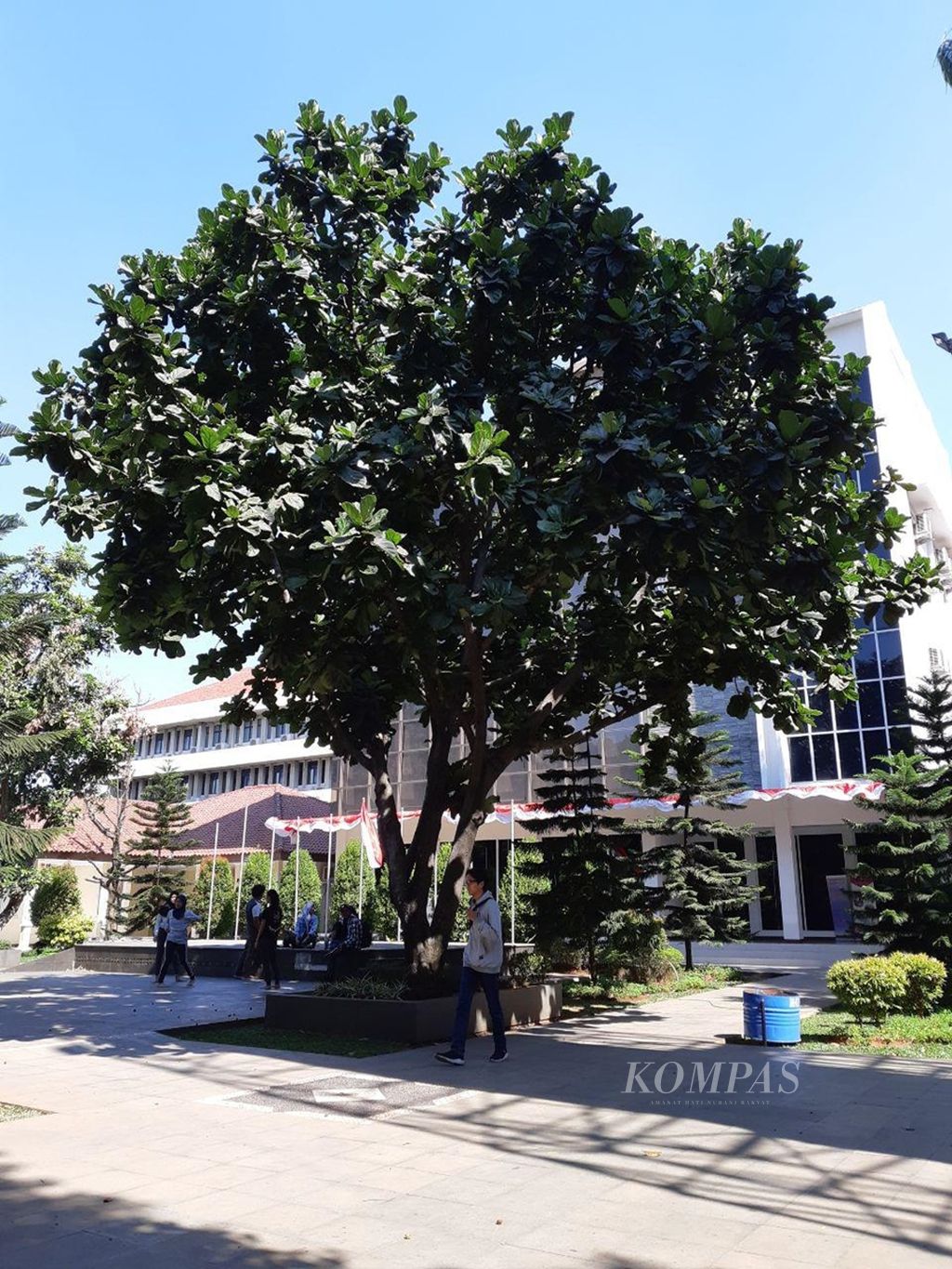 Salah satu sudut kampus Universitas Pancasila, Jakarta Selatan, 21 Agustus 2019.