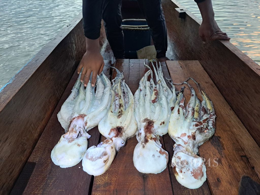 Nelayan menunjukkan gurita tangkapannya di Dusun Sinaka, Desa Sinaka, Kecamatan Pagai Selatan, Kepulauan Mentawai, Sumatera Barat, Sabtu (17/6/2023) sore. Gurita merupakan  tangkapan utama nelayan di Desa Sinaka beberapa tahun terakhir.
