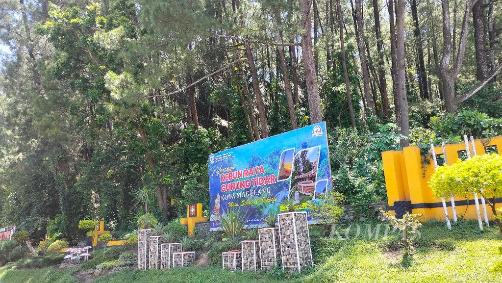 Kawasan hutan di Gunung Tidar terlihat dari tengah Kota Magelang, Jawa Tengah, Jumat (10/3/2023).