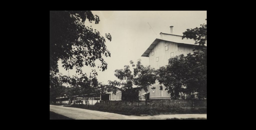Gedung serikat karet di Jambi, 1920. 