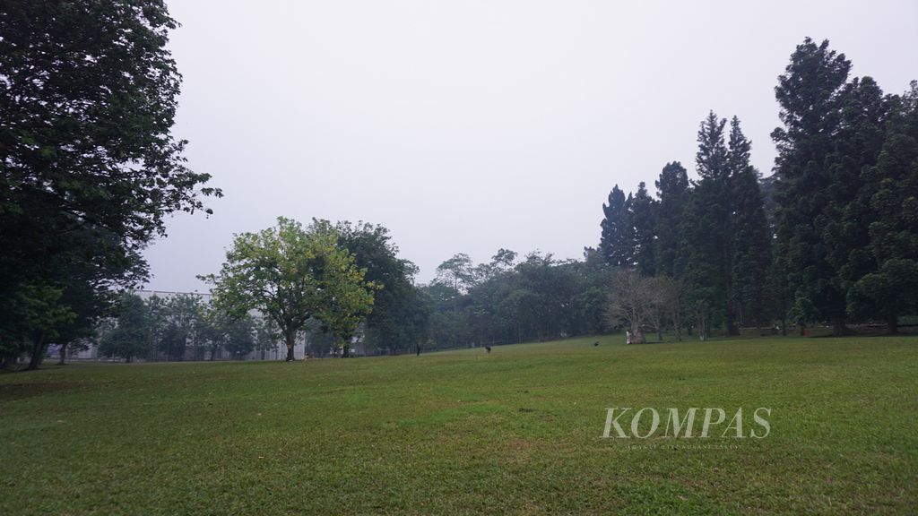 Kondisi rumput di area Ecodome, Kebun Raya Bogor, Jawa Barat, Sabtu (2/7/2022), sudah tampak rapi dan hijau setelah sempat rusak dan berlumpur seusai penyelenggaraan konser musik pada 24-26 Juni 2022. Area Ecodome saat ini masih diberi pembatas untuk mengoptimalkan upaya perawatan.