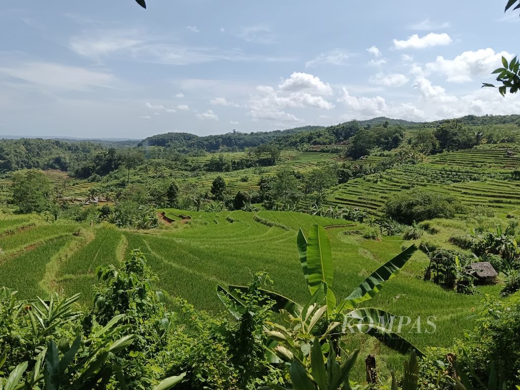 The view in Megaterasering Sukamulya Tourism Village in Langkaplancar District, Pangandaran Regency, on May 4th, 2024. This place has become one of the widest terraced rice field tourist destinations in West Java.