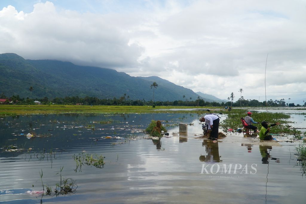Residents are fishing in flooded rice fields due to the overflowing of Lake Kerinci in the village of Pulau Tengah, Keliling Danau district, Kerinci Regency, Jambi on Tuesday (16/1/2024). The floods since the beginning of the year have caused 876.5 hectares of rice fields in Kerinci Regency to fail to harvest, resulting in millions of rupiah in losses for farmers.