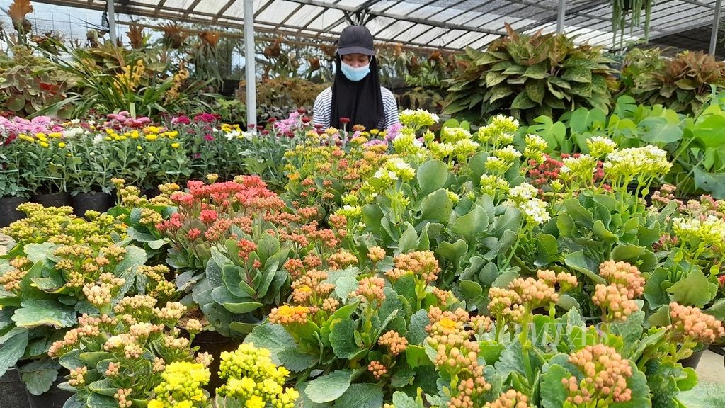 Aneka bunga dan tanaman hias dijajakan di salah satu kios di Mal Bunga Sidomulyo di Desa Sidomulyo, Kecamatan Bumiaji, Kota Batu, Jawa Timur, Senin (11/4/2022). Mal bunga yang disebut-sebut sebagai yang pertama di Indonesia ini berdiri sejak pertengahan 2021.