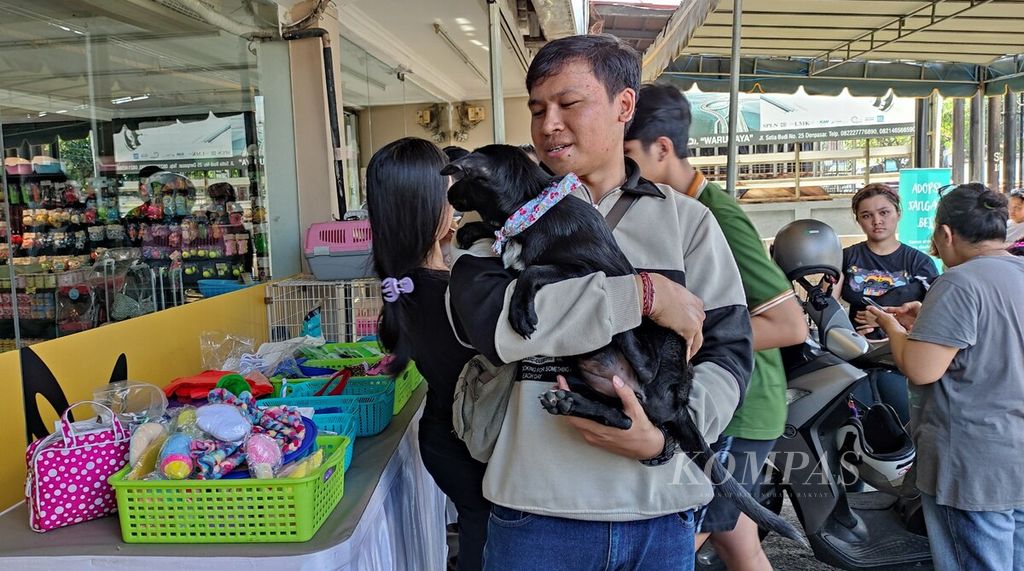 Acara adopsi hewan telantar, khususnya anjing dan kucing, di sebuah toko hewan di Kota Denpasar, Bali, Minggu (9/7/2023), menarik minat warga. 