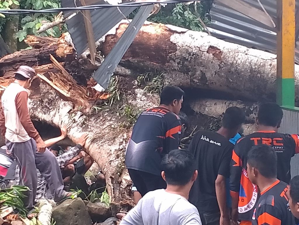 Petugas BPBD mengevakuasi warga yang tertimpa pohon tumbang di situs Bulu Matanre, Soppeng, Sulawesi Selatan, Minggu (3/11/2024). Peristiwa ini menyebabkan sembilan orang meninggal. 