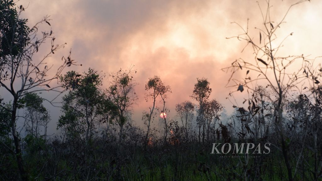Kebakaran lahan gambut terjadi di Kecamatan Liang Anggang, Kota Banjarbaru, Kalimantan Selatan, Kamis (21/9/2023). Selama September ini, lahan gambut di Kalsel semakin mudah terbakar dan sulit dipadamkan.