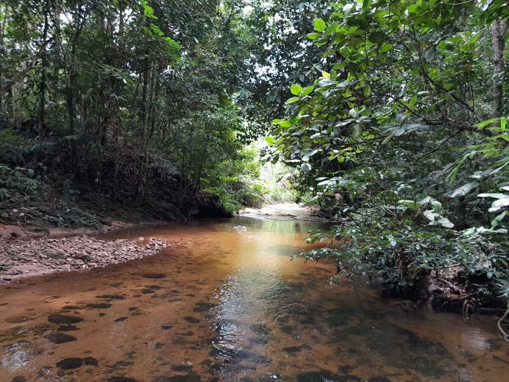 Salah satu wilayah yang terendam banjir di kawasan jantung Kalimantan atau Heart of Borneo (HOB) di Kabupaten Murung Raya, Kamis (8/9/2022).Setidaknya 32 permukiman warga terendam banjir di tempat tersebut.