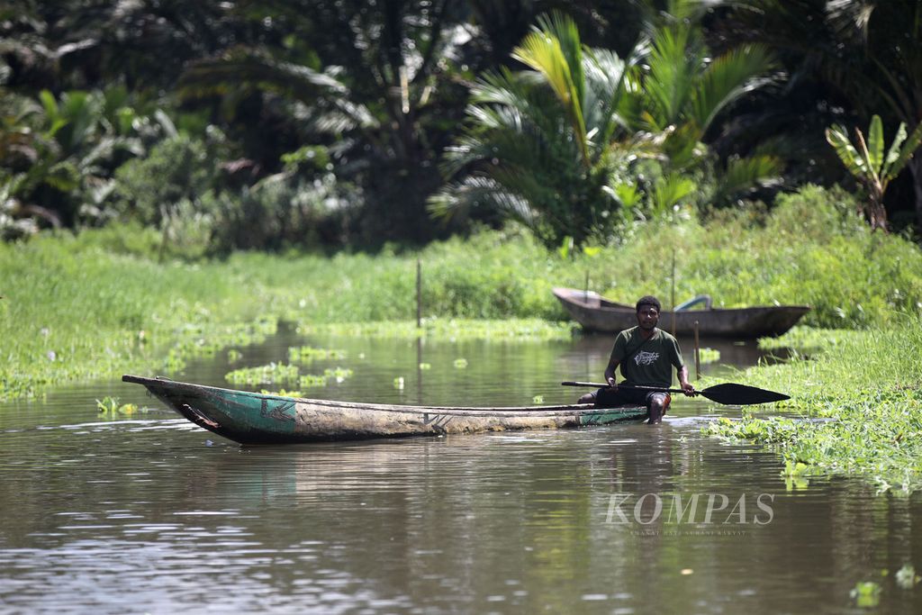 Warga mencari ikan di sekitar hutan sagu Kampung Yoboi, Distrik Sentani, Kabupaten Jayapura, Papua, Jumat (26/7/2024). 