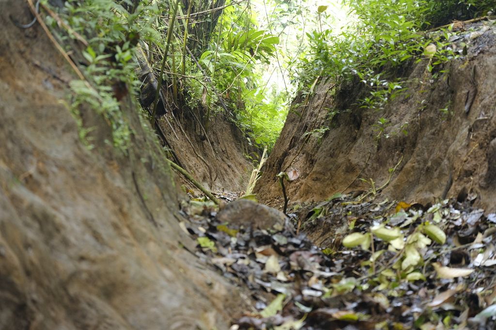 Bekas jalur motor "trail" dengan kedalaman sekitar dua meter ada di dalam kawasan Taman Wisata Alam Kawah Kamojang, Kabupaten Bandung, Minggu (29/5/2022). Kedalaman bekas jalur motor itu dapat mempercepat turunnya laju air dari kawasan hilir saat hujan dan menyebabkan erosi.