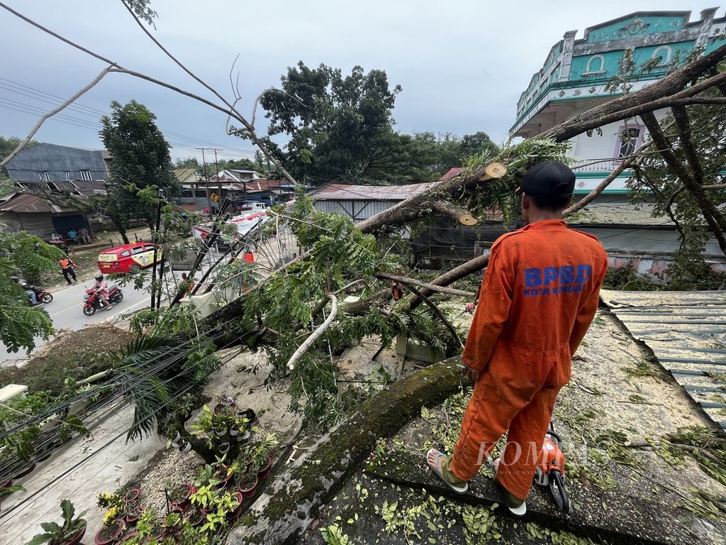 Petugas BPBD Kendari memotong batang pohon tumbang yang menimpa rumah warga di Puuwatu, Kendari, Sulawesi Tenggara, Senin (6/3/2023). Cuaca ekstrem melanda wilayah Kendari pada Minggu (5/3/2023) petang mengakibatkan rusaknya bangunan serta menimbulkan korban jiwa.