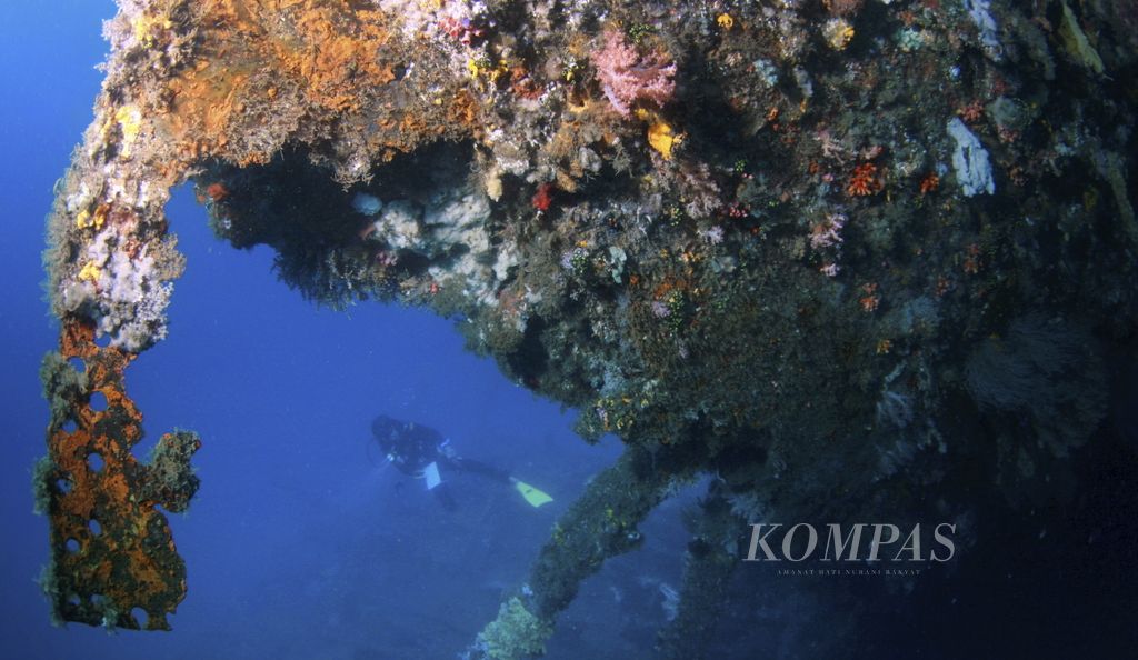 Terumbu karang menutupi sejumlah besar bagian luar Kapal Mawali yang tenggelam pada era Perang Dunia Kedua di perairan Selat Lembeh, Bitung, Sulawesi Utara, Selasa (14/6/2016).