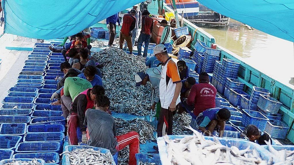 Para nelayan sedang menyortir ikan ke dalam keranjang yang akan dilelang di Tempat Pelelangan Ikan (TPI) Pelabuhan Kota Tegal, Jateng, Senin (23/9/2019). Menurut Data Produksi Perikanan TPI Pelabuhan Kota Tegal, produksi ikan terus menurun dalam kurun lima tahun terakhir. Produksi ikan pada 2015 sekitar 20,6 ribu ton, sedangkan hasil produksi ikan pada Januari-Agustus 2019 sebanyak 6,5 ribu ton.