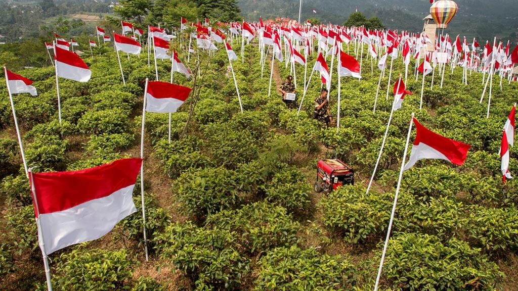 Warga melintasi deretan bendera Merah Putih yang dipasang di kebun teh Kemuning, Karanganyar, Jawa Tengah, Minggu (12/8/2018). Sebanyak 17 bendera berukuran sedang, 8 bendera besar, dan 1.945 bendera berukuran kecil dipasang warga setempat untuk menyambut HUT Ke-73 Republik Indonesia sekaligus upaya menarik kunjungan wisata.