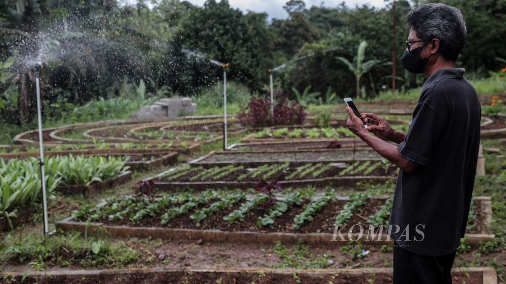 Nuryanto, tenaga ahli teknis lahan pertanian Kelompok Wanita Tani (KWT) Tani Asri GWKP di Kompleks Griya Wana Karya Permai, Bubulak, Bogor, mengoperasikan pengendali jarak jauh penyiraman tanaman di lahan tersebut melalui gawainya, Minggu (27/2/2022).  