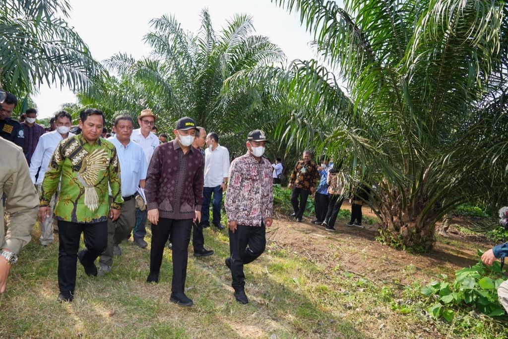 Menteri Koperasi dan UKM Teten Masduki (ketujuh dari kiri) meninjau lahan sawit yang digarap petani binaan Koperasi Sawit Unggul Sejahtera Kabupaten Serdang Bedagai, Sumatera Utara, Kamis (9/6/2022). 