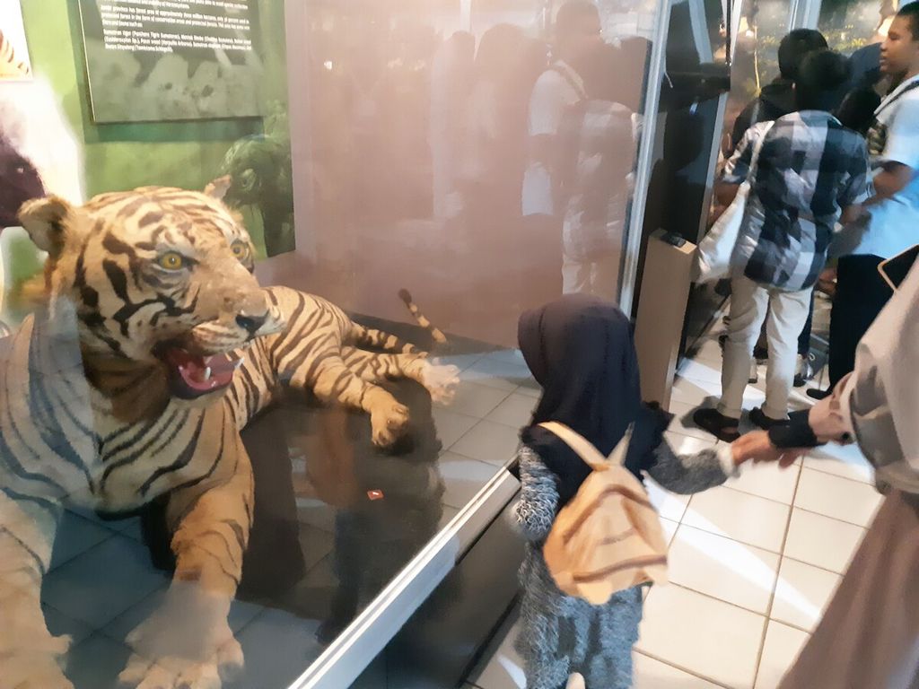 Pengunjung melihat koleksi hibah di Museum Siginjai Jambi, Kamis (6/7/2023). 