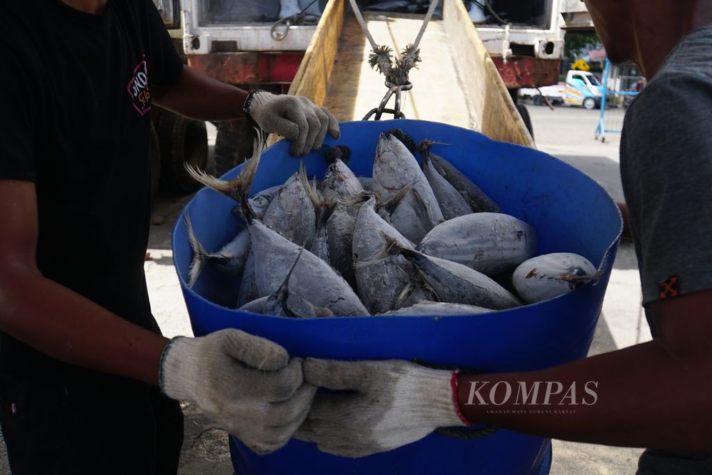 Para pekerja membongkar ikan tangkapan dari Kapal Motor Citra Express 11 berukuran 239 gros ton di Pelabuhan Perikanan Samudera Bitung, Sulawesi Utara, Jumat (20/10/2023),