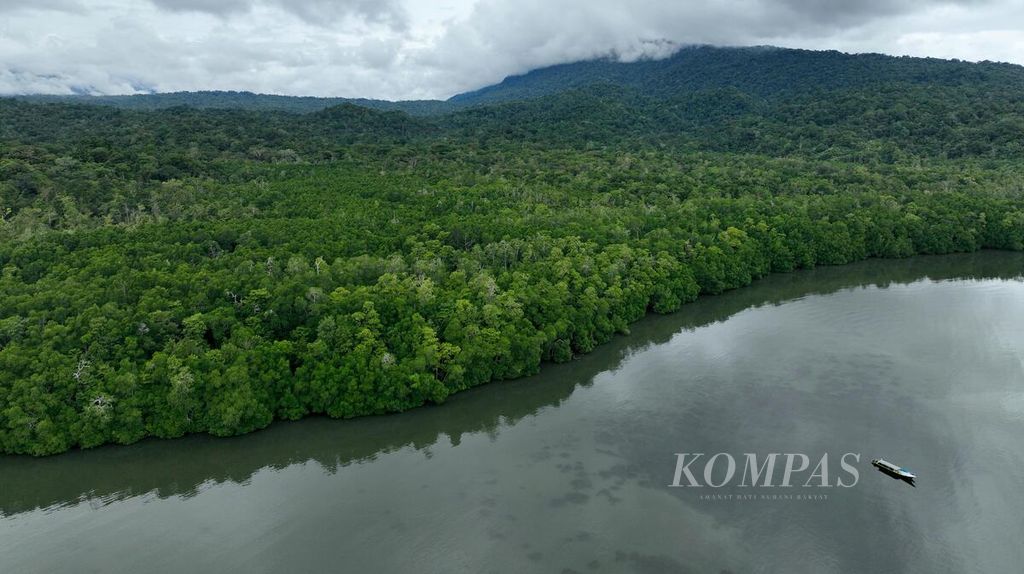 Foto udara bentangan hutan mangrove di pesisir Teluk Arguni, Kabupaten Kaimana, Papua Barat, 15 Juni 2023. 