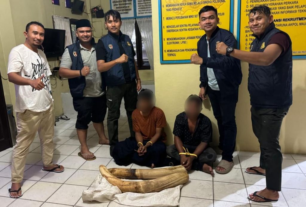 Dua tersangka perdagangan gading gajah ditahan aparat kepolisian di Sigli, Kabupaten Pidie, Aceh, Kamis (25/4/2024). Pelaku terancam pidana maksimal 5 tahun penjara.