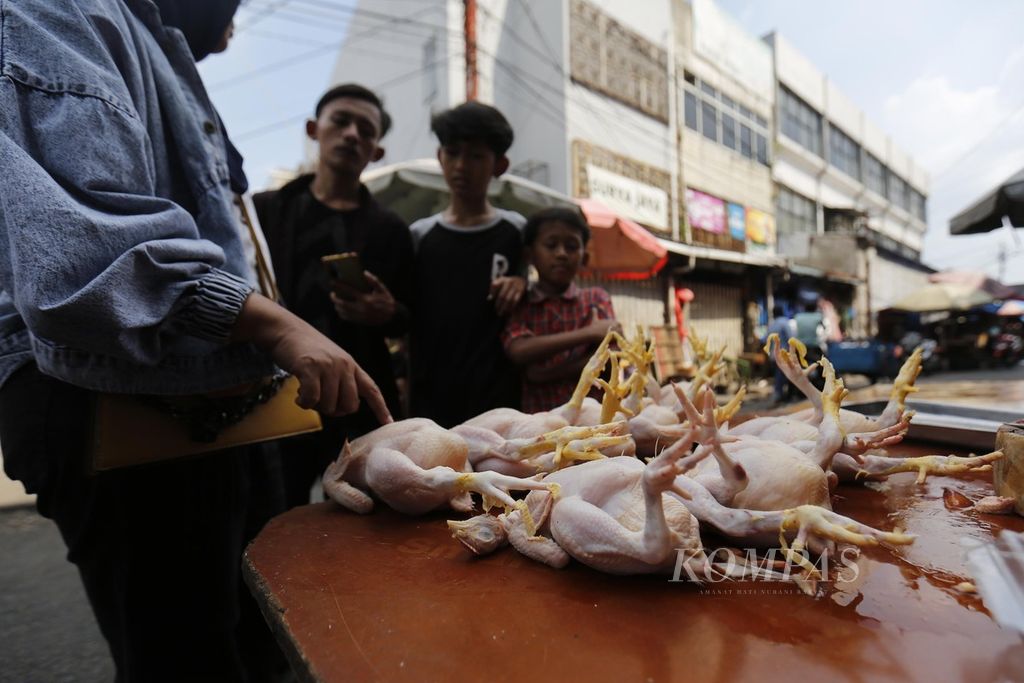 Calon pembeli memilih ayam potong di Pasar Kebayoran Lama, Jakarta, Kamis (29/6/2023). Menurut pedagang, sejak pasokan dari daerah tersendat, harga jual ayam potong melonjak menjadi Rp 40.000-Rp 50.000 per ekor bergantung pada ukuran. Naik Rp 5.000 dari harga sebelumnya. 