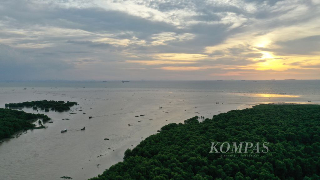 Foto udara hutan mangrove sarang Lutung jawa (Trachypithecus auratus mauritius) di Desa Pantai Bahagia, Kecamatan Muaragembong, Kabupaten Bekasi, Jawa Barat, Kamis (27/10/2022). 