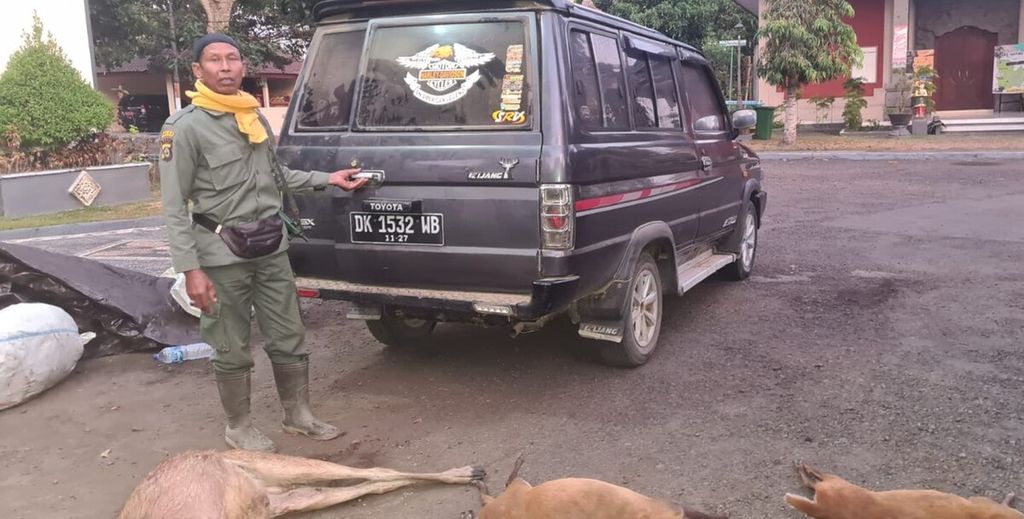 Belasan satwa liar dari kawasan Taman Nasional Bali Barat (TNBB) menjadi korban perburuan liar. Dokumentasi Balai TNBB menampilkan sejumlah barang bukti yang diamankan petugas terkait perburuan liar di kawasan TNBB, Sabtu (14/10/2023).