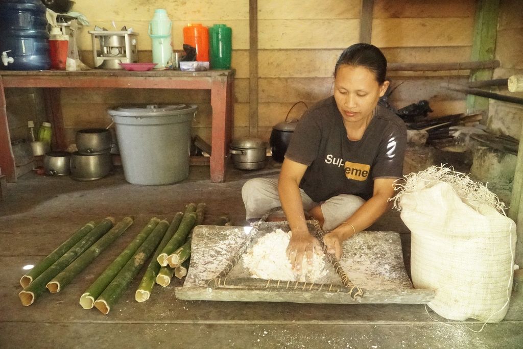 Warga menggemburkan pati sagu untuk membuat sagu bakar bambu atau "sagu kaobuk" di pedalaman Pulau Siberut di Dusun Bekkeiluk, Desa Muntei, Kecamatan Siberut Selatan, Kepulauan Mentawai, Sumatera Barat, Minggu (24/9/2023). Sagu, keladi, dan pisang merupakan makanan pokok masyarakat suku Mentawai di Pulau Siberut, Kepulauan Mentawai.