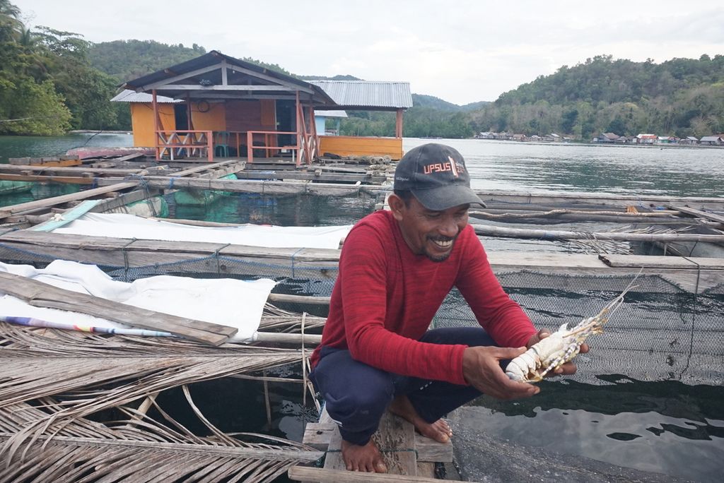 Bahar (47), Ketua Kelompok Nelayan Bintang Fajar, menunjukkan salah satu lokasi keramba pengembangan lobster milik salah satu anggotanya di Desa Soropia, Konawe, Sulawesi Tenggara, Minggu (15/12/2019). Nelayan budidaya lobster di wilayah ini terkendala sulitnya bibit dan kurangnya perhatian pemerintah.