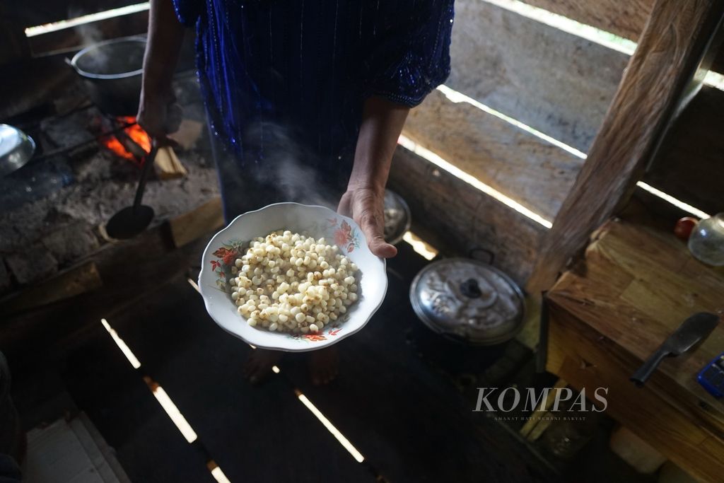 Wa Kalina (55) memasak jagung tua untuk membuat berbagai olahan, seperti kambose dan kagili, di Kelurahan Wamelai, Lawa, Muna Barat, Sulawesi Tenggara, Sabtu (26/8/2023).