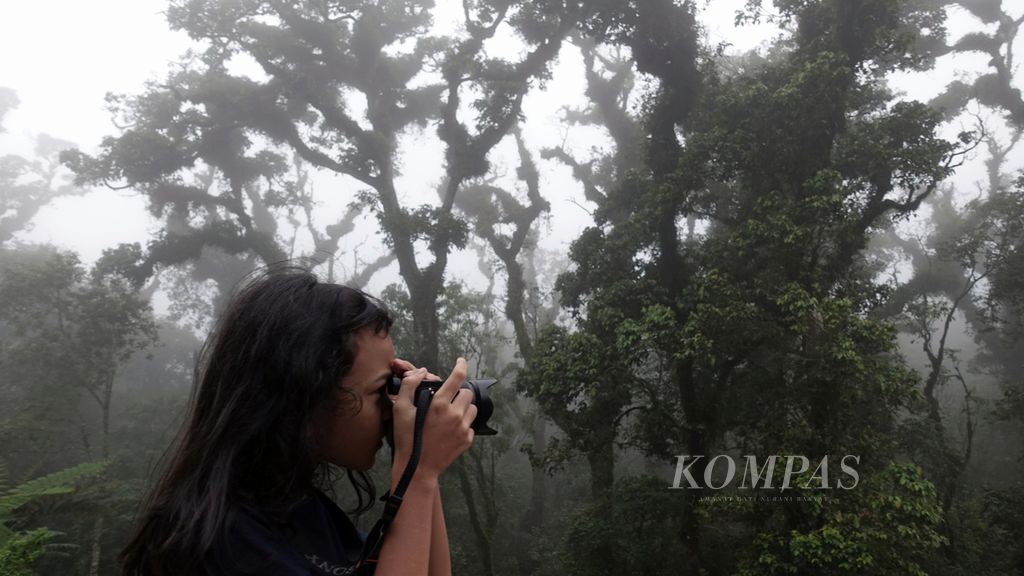 Wisatawan mengabadikan pepohonan yang tertutupi oleh kabut di pinggir Jalan Sarangan di Plaosan, Kabupaten Magetan, Jawa Timur, Rabu (15/6/2022). 