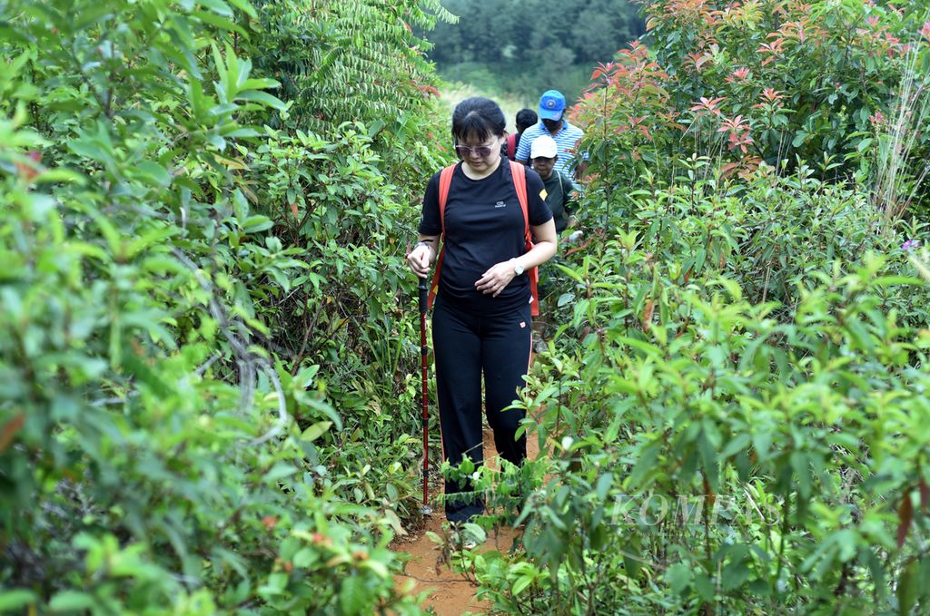 Peserta <i>trekking </i>berjalan melewati pepohonan di salah satu jalur di kawasan Sentul, Kecamatan Babakan Madang, Kabupaten Bogor, Jawa Barat, Sabtu (19/11/2022). 