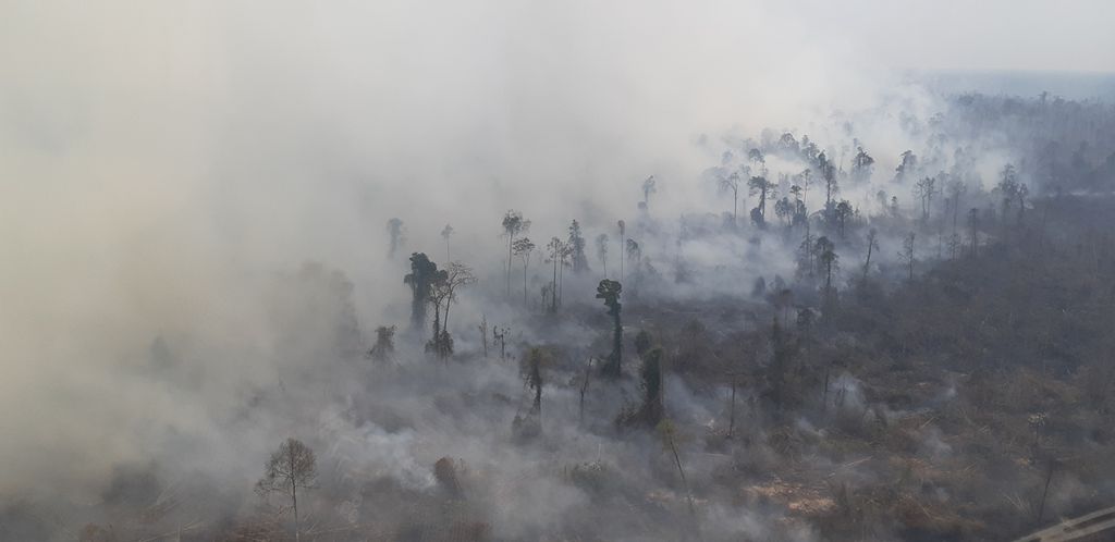 Kebakaran  membara di wilayah Kumpeh, Kabupaten Muaro Jambi, Jambi, dalam patroli udara Tim Satuan Tugas Karhutla Jambi dan Badan Nasional Penanggulangan Bencana, Senin (8/10/2019) lalu.