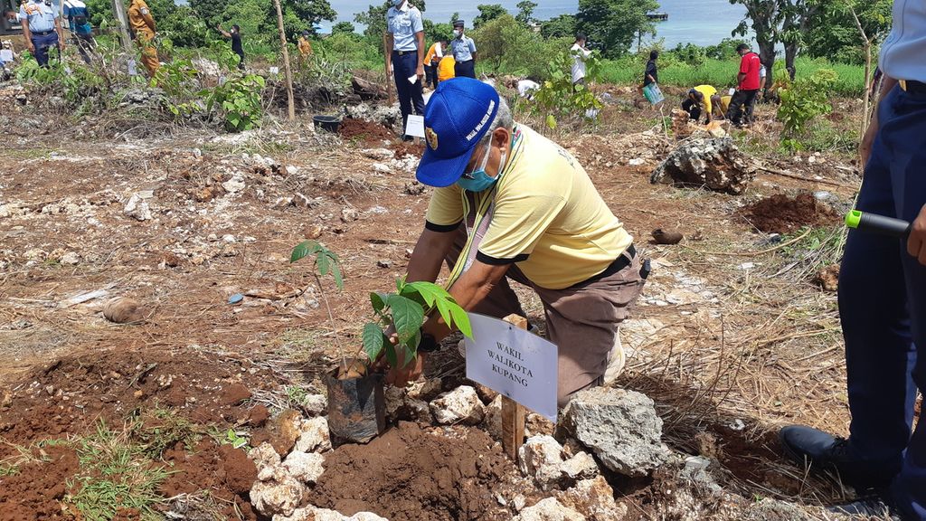 Penanaman 25.000 anakan pohon di Pulau Timor, Nusa Tenggara Timur, dimulai dari Bolok, Kabupaten Kupang, Selasa (22/2/2022). Gerakan itu sebagai bagian dari upaya mengatasi kekeringan di daerah tersebut.