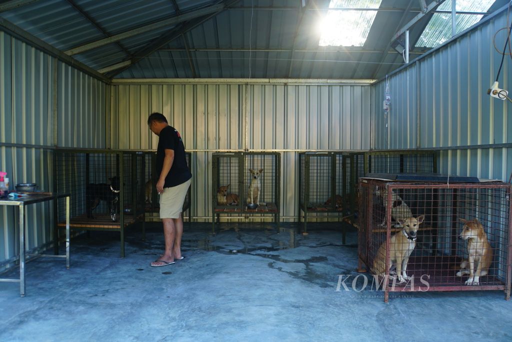 Suasana kandang anjing di tempat penampungan (<i>shelter</i>) Animal Friends Manado Indonesia (AFMI), Tomohon, Sulawesi Utara, pada Sabtu (29/7/2023) sore. 
